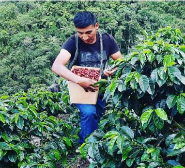 【chii】Lapalma ラパルマ 高級カフェ3点セット chii様専用】Lapalma ラパルマ 高級カフェ3点セット