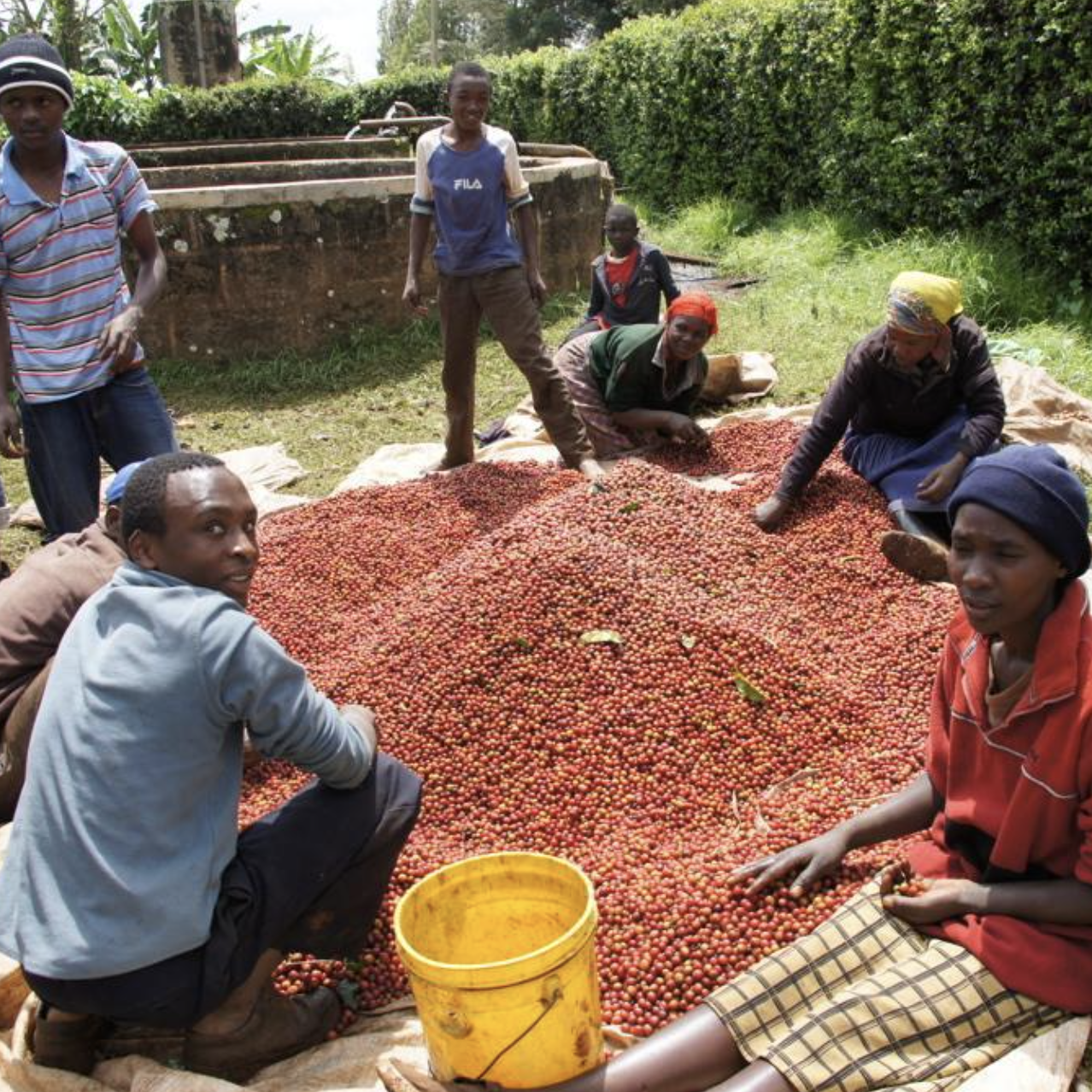 2024-06-26_14.26.46.png?v=