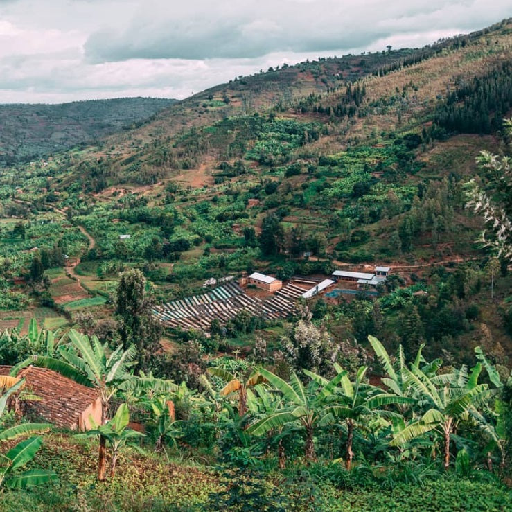 Photo of BUMBOGO - RWANDA