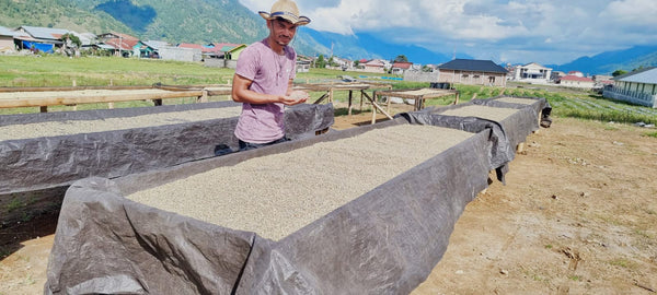 インドネシアの品評会11位のコーヒーはあの精製方法で受賞！「レンガリ農園」