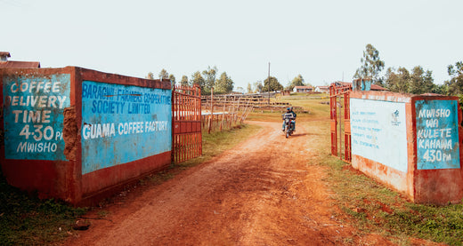 明るく透明度の高い甘さが特徴なケニアのコーヒー「グアマ」 – LIGHT