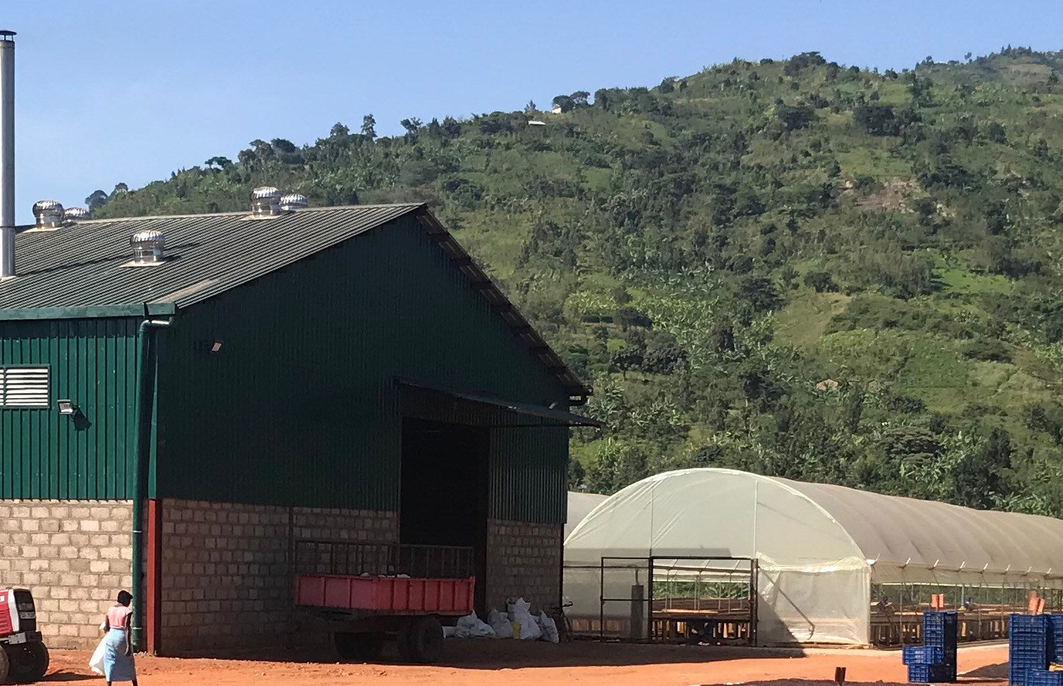 Photo of BUGOYE - UDANDA
