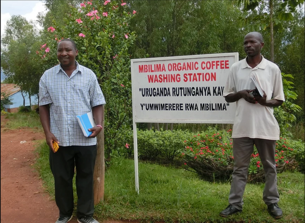 ルワンダの優良協同組合から素晴らしいコーヒーが定期便で登場、「ミビリマ、ルワンダ」