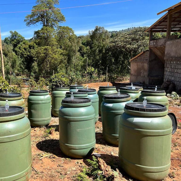 ファンキーで繊細なエチオピアのコーヒー、「チェルチェレ アナエロ