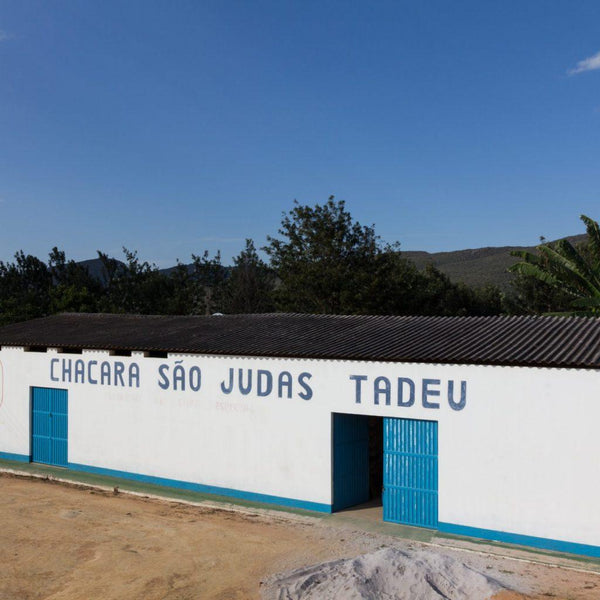 圧倒的透明度とバランスを兼ね備えたブラジルの優良農園、「サン ジュダス ダデウ」