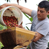 AROMAS DEL VALLE - PERU