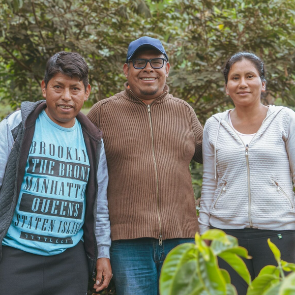 LICOMA - BOLIVIA