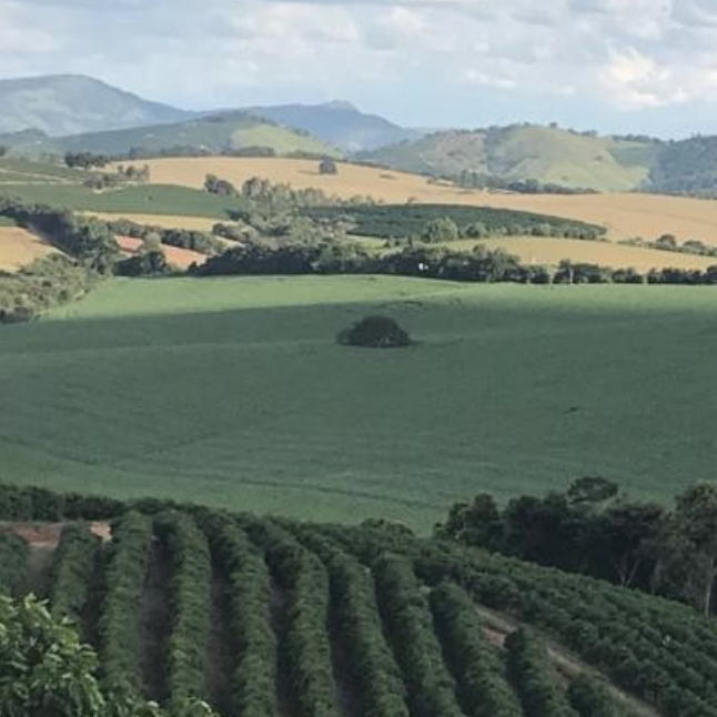 SANTA CLARA  - BRAZIL