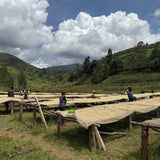 KAYAVE - BURUNDI