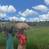 NYAGISHIRU - BURUNDI