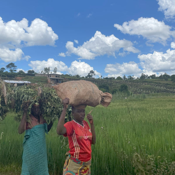NYAGISHIRU - BURUNDI