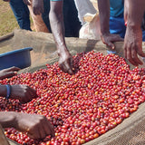 NYAGISHIRU - BURUNDI