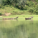 GISHEKE - RWANDA