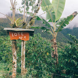 CASA RUMISITANA SIDRA - ECUADOR
