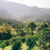 CASA RUMISITANA SIDRA - ECUADOR