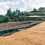 SIMBI - RWANDA