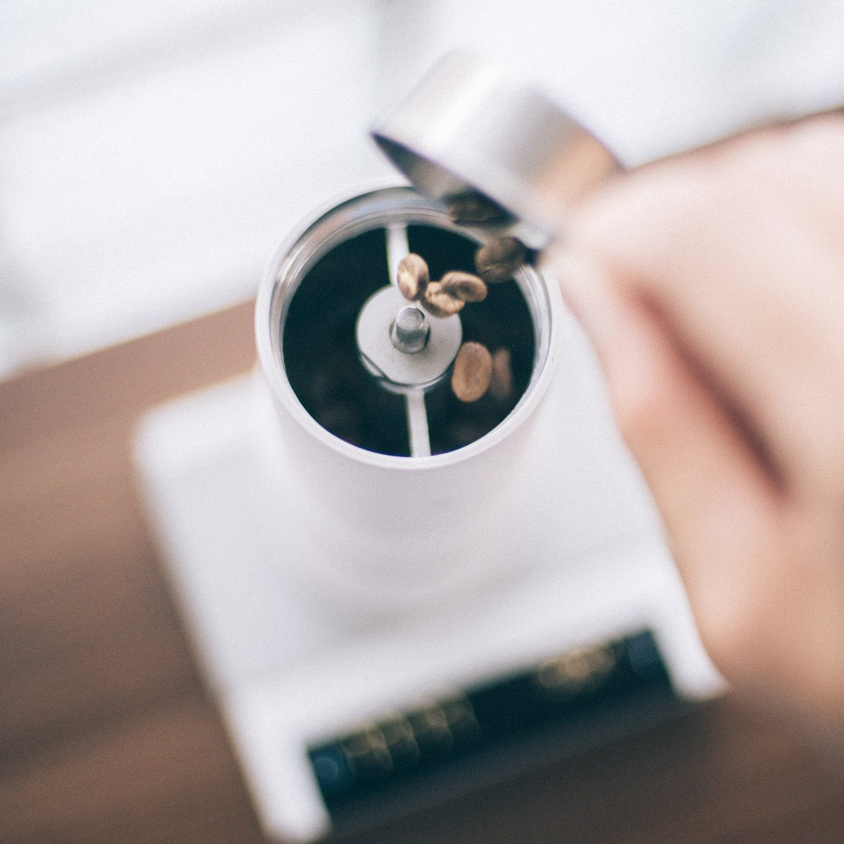 LIGHT UP COFFEE】Varia EVO Hybrid Grinder