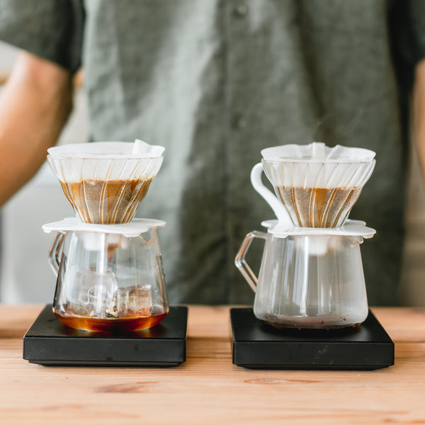 店舗ドリップセミナー (V60編) 豆60g付き【三鷹店開催】