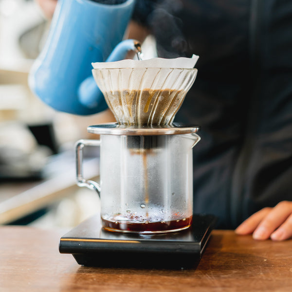 店舗ドリップセミナー (V60編) 豆60g付き【下北沢店開催】