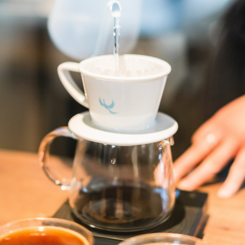 かっぱさん専用 やきざかなさん専用 やきざかなさん専用 やきざかなさん専用 やき