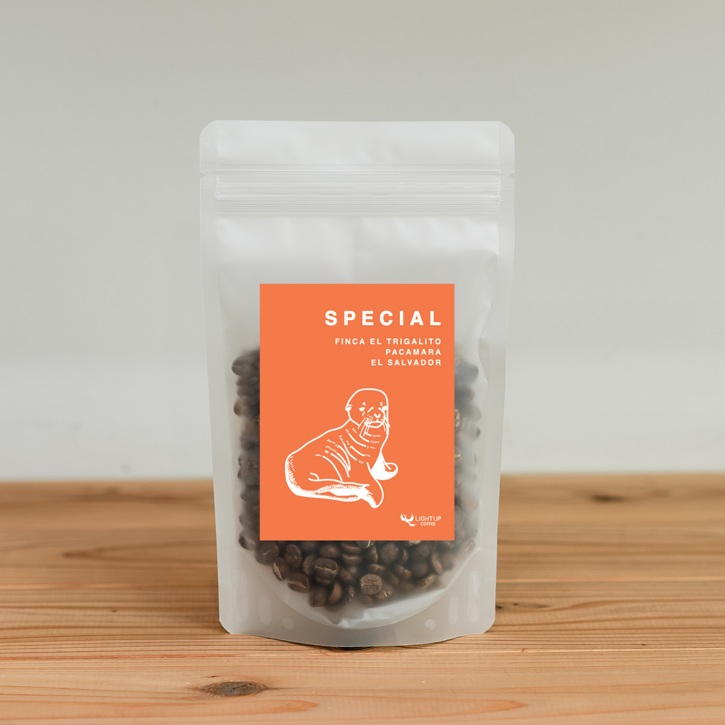 Photo of SPECIAL Washed FINCA EL TRIGALITO PACAMARA - EL SALVADOR