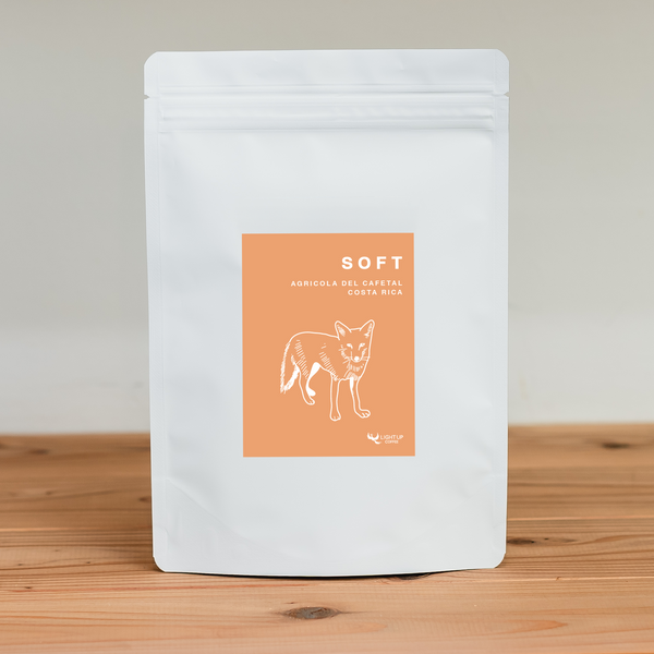 初の取り扱いとなるパプアニューギニアのコーヒー、「ボカ」 – LIGHT