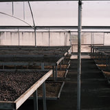 V&G SAN JUANILLO - COSTA RICA