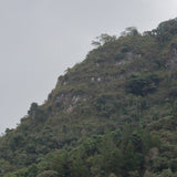 FAMILIA TOCTO - PERU